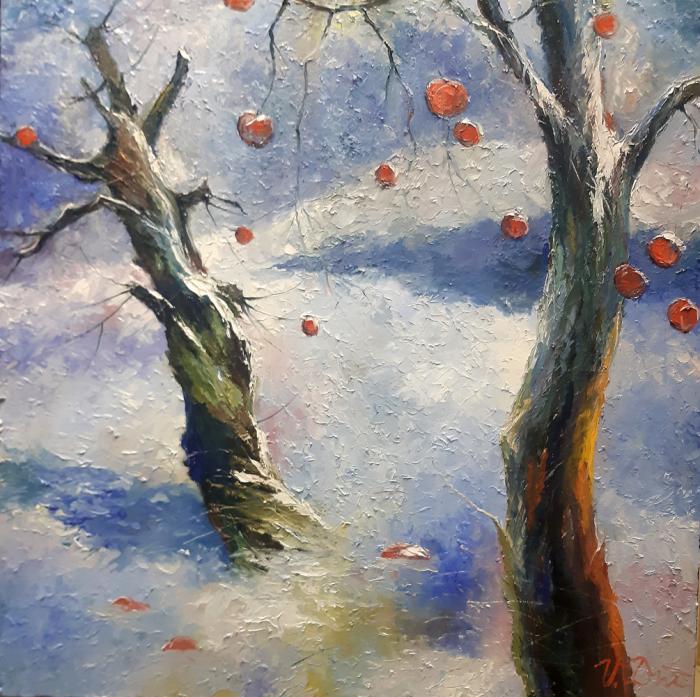 Apple trees in winter